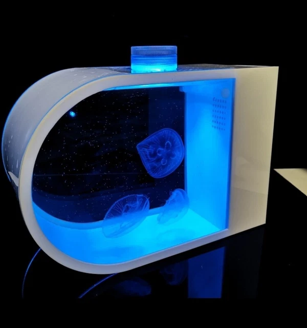 Jellyfish aquarium tank