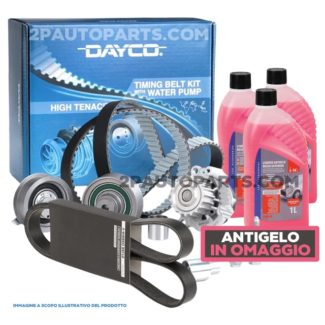 Kit Courroie De Distribution + Pompe à Eau Pour Ford Fiesta IV & Camionnette - 1.2L 1.4L 1995-1999