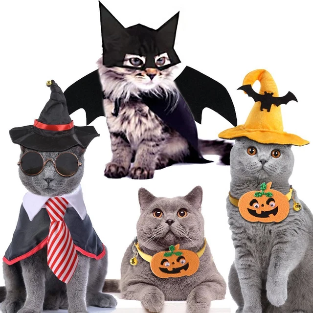 Disfraz de transformación de mascota capa de dibujos animados de pie gatos/perros calabaza demonio
