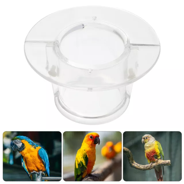 bird collars for plucking bird harness Parrot Necklace Cockatiel