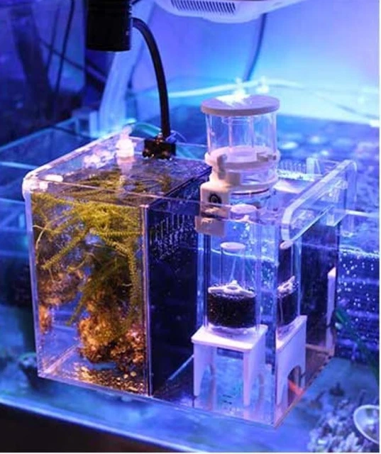 14L Large Breeding Aquarium Fish Tank Guppy Hatchery Breeder Rear Isolation Box