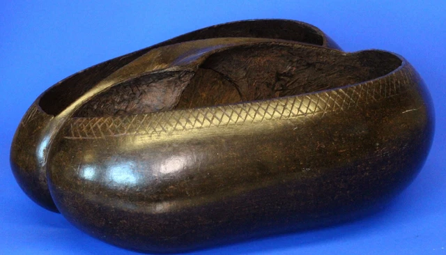 Antique Polished Carved Coco-de-Mer carry handle 2 compartments 11 x 9" [21554]