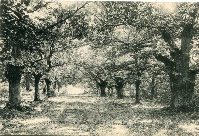 ORSAY LOT 2 cartes Sous bois à Corbeville De beaux arbres et le vieux parc