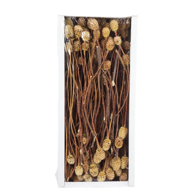 Ramas de sabuloso - 3 cabezas - 40 piezas - azuladas