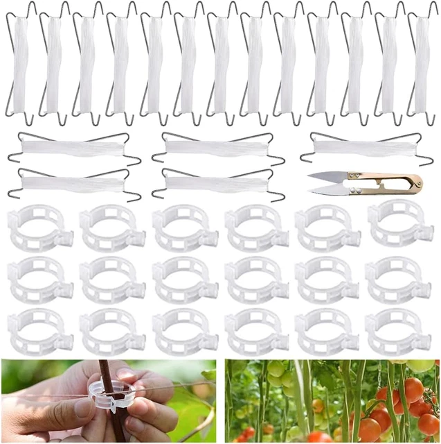 XTDMJ Tomatenhaken-Set, 20 Stück Mit 15 M Schnur & Clips - Zum Hochbinden Von Tomaten, Gurken & Rankpflanzen