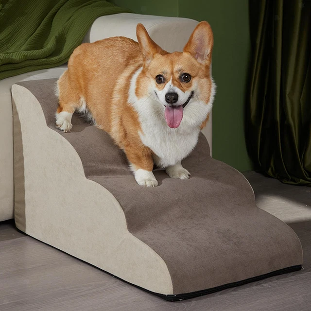 Scale per cani Scaletta per animali domestici traspirante Rampa interna per