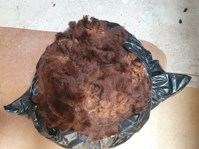 Rockleigh Alpacas - Alpaca Fleece - Brown - FIRST FLEECE  - Wickett - 350g