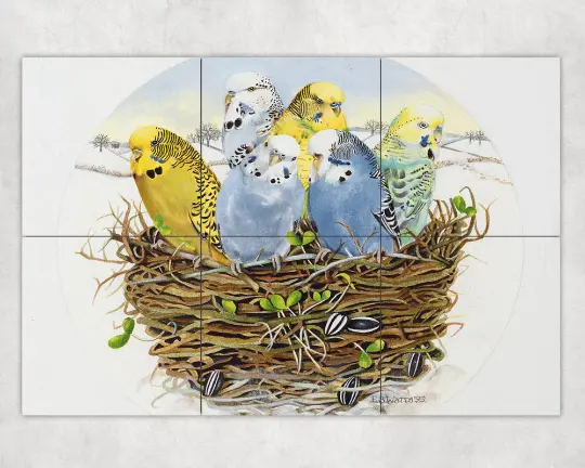 Budgerigars In A Nest exotic birds outdoor garden ceramic tile mural backsplash