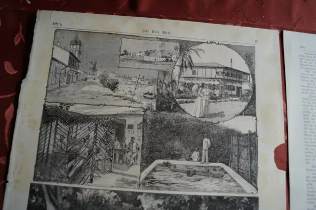 Zeitungsdruck 1898 A / Deutsch Ostafrika Kolonien Daresalam Lindi