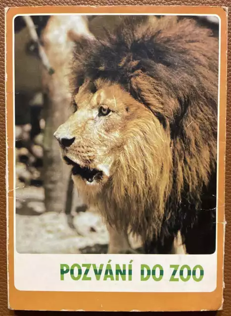 Lot of 17 psc  JUMBO CARDS FOLDER WITH CZECH PRAGUE ZOO ANIMALS PRESS FOTO