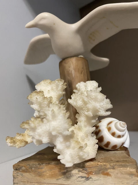 Seagull on Wood w Seashells & Coral Figure Vintage 8" Wingspan 3" Base 5.5" Tall