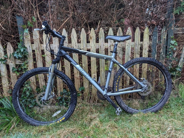 Giant 2025 terrago trail
