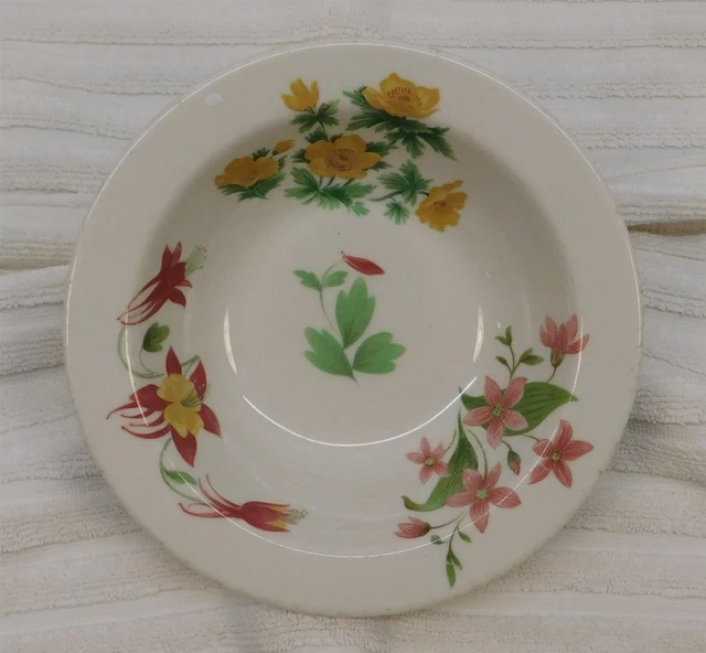 RR/BS Great Northern Railroad China Bowl in the Mountains & Flowers Pattern