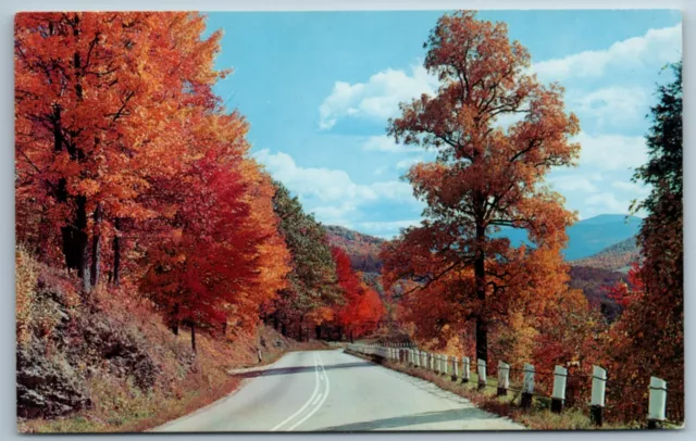 Autumn Greetings From The Endless Mountains Pennsylvania PA VTG Postcard