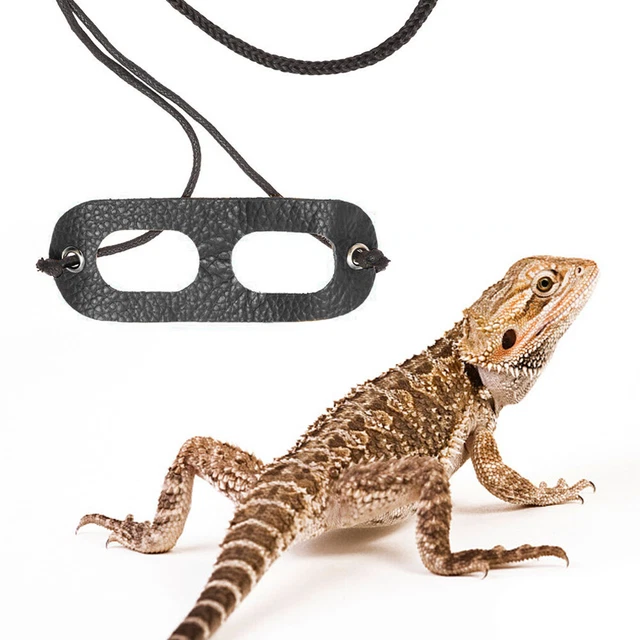 Reptile Lizard Harness Bearded Dragon Harness Reptile Leather Traction Rope