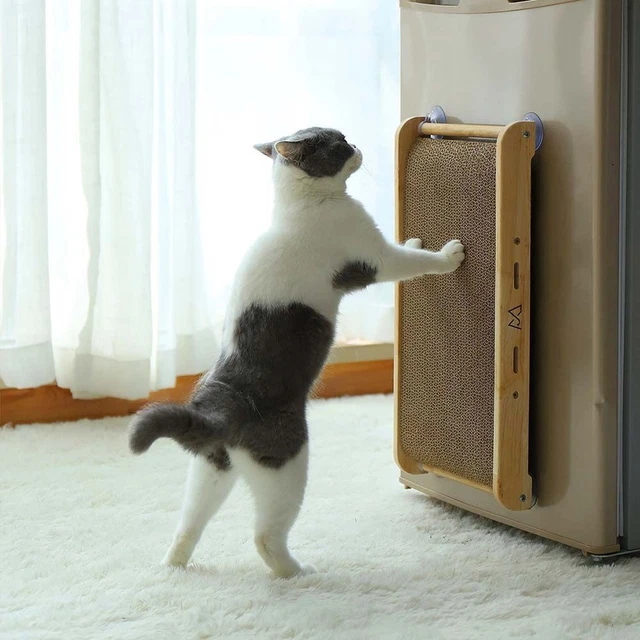 Exercising Cat Toys Cat Scratching Board Cat Bed Cat Scratcher Toy Pet Supplies