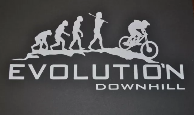 1 X 25Cm  Evolution Downhill Text Mountain Biking Bike Stickers Decals