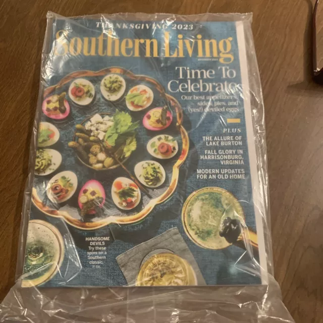 SOUTHERN LIVING MAGAZINE November 2023 Issue £4.40 PicClick UK