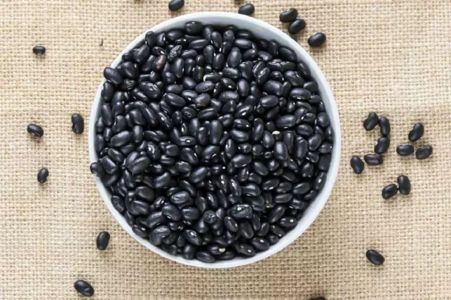 Schwarze Bohnen aus Tolosa - Beans 5+ Samen - Seed - Graines - H 125