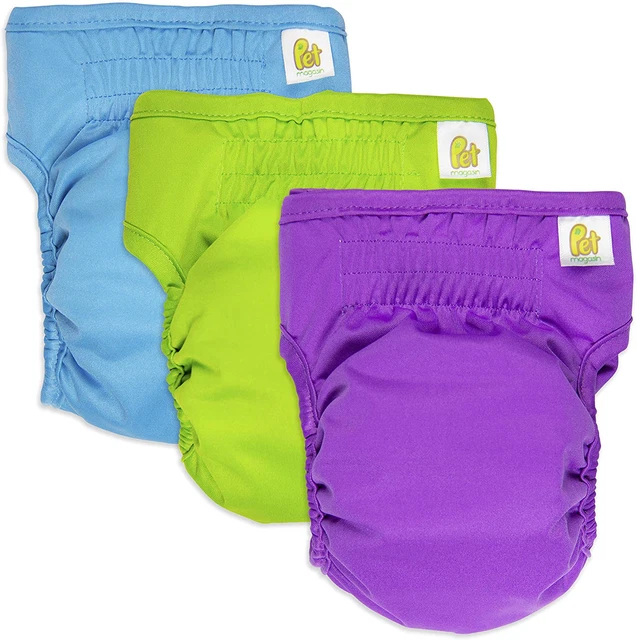 Wiederverwendbare Windeln Für Hündinnen, 3 Stück, Blau, Grün Und Violett, Klein