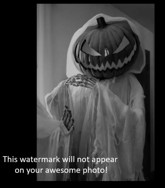 Vintage Creepy Halloween PHOTO Pumpkin Head Costume Freak Scary Kid Mask Ghost
