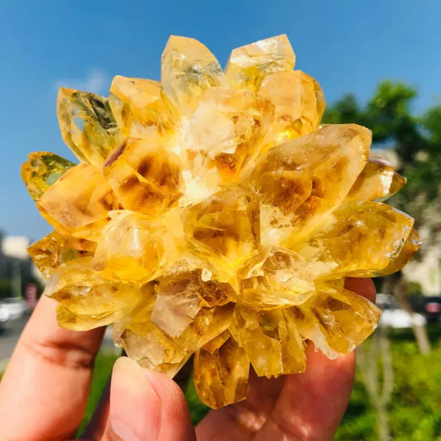 250g+ New Find Yellow Phantom Quartz Crystal Cluster Mineral Specimen Healing