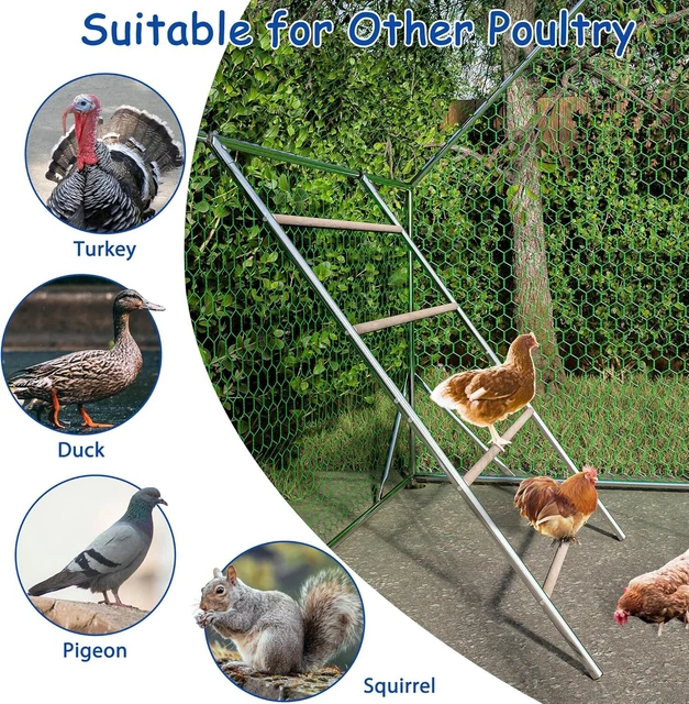 POULTRY LADDER PERCH Chicken Run Roosting Bar for Run or Coop Solid ...