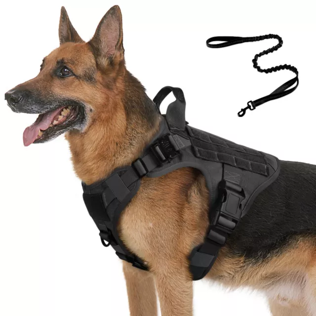 Rabbitgoo Training Military Dog Harness with Handle No-Pull for Large Medium Dog