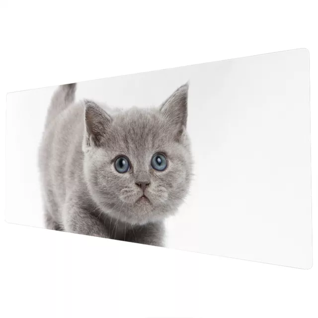 90x40cm extra groß XXL Maus Matte Pad Full Schreibtisch grau Kätzchen Katze blau Augen