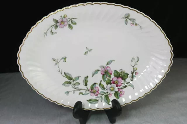 Apple Blossom Syracuse 14 " Oval Serving Platter USA Gold Rim Swirl MINTY!