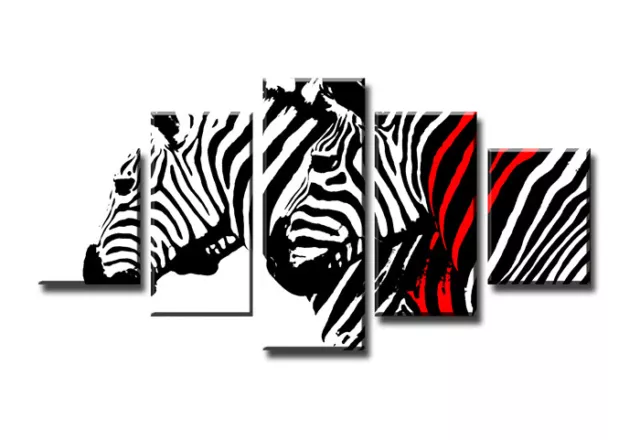 Bild 5 tlg zebra Bild visario MarkenLeinwand 160x80cm XXL Bilder Nr 5567>