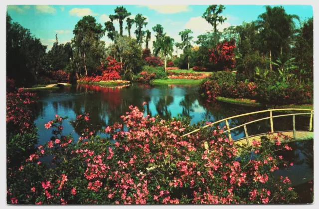 Postal Florida Cypress Gardens Puente Azaleas Camino de Ladrillos Lago Eloise Hannau