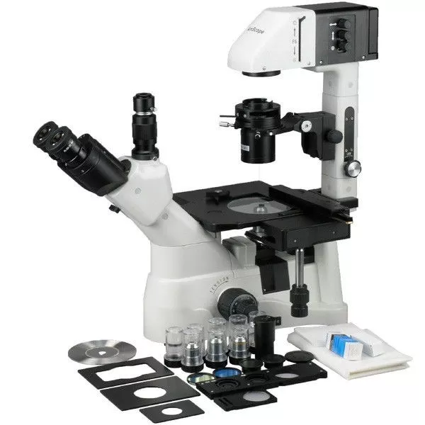 AmScope IN480T 40X-600X Kohler Infinity Plan Phase Contrast Inverted Microscope