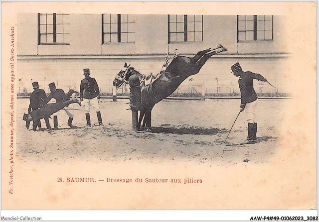 Photo Ancienne - Saumur - Dressage à Pied Du Sauteur En Liberté, Croupade