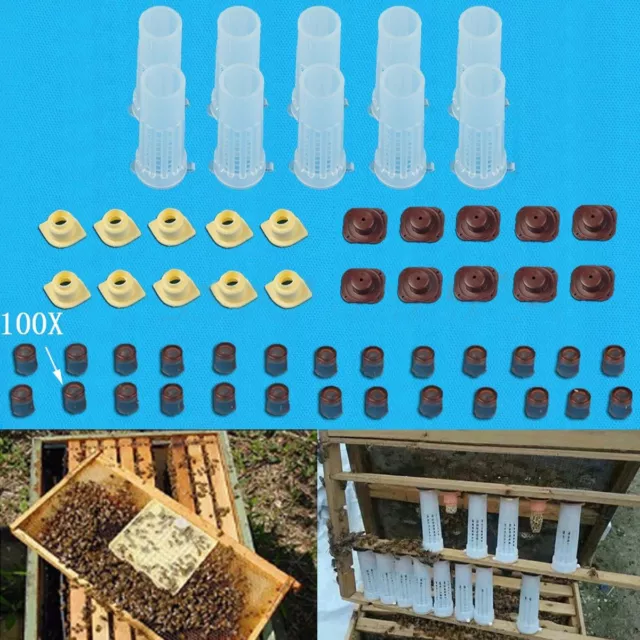 Bee Queen Rearing Cupkit Complete Box Beekeeping Cage Cell Cup Kit