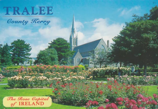 a irish kerry county eire old postcard ireland tralee