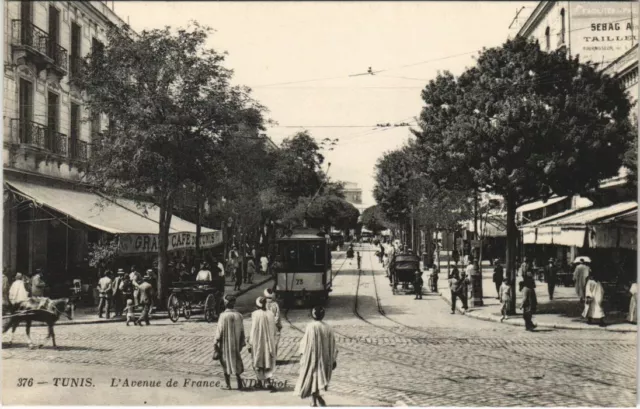 CPA AK TUNISIE TUNIS - L'Avenue de France (134566)