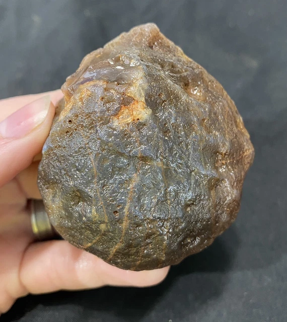 Rare Rough Botswana Agate whole nodule “THE LITTLE LUMPER” 5.3 Ounces B1 8