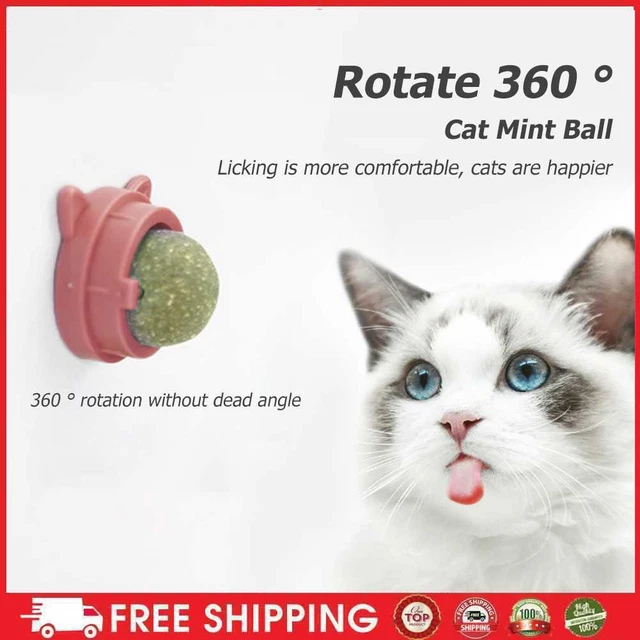Palla girevole per menta gatta, palline naturali per gatti, menta molare-gatta-Sn