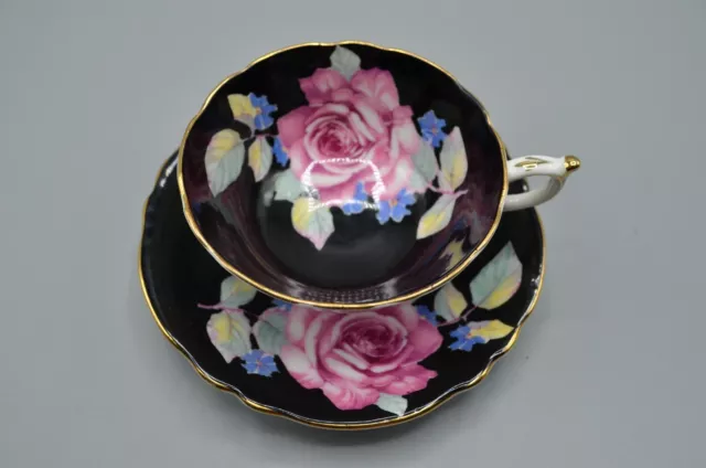 Paragon Double Warrant Teacup Saucer Black Cabbage Rose Bone China 5413