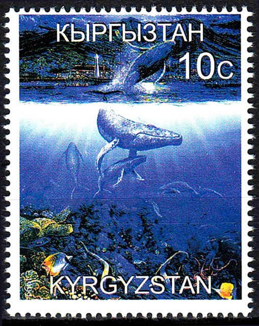 Kirgisistan postfrisch MNH Wale Meerestier Fische Korallen Algen Natur / 60