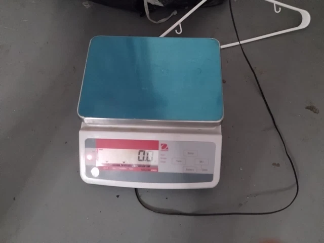 Ohaus V11P3 Compact Scale 83998126