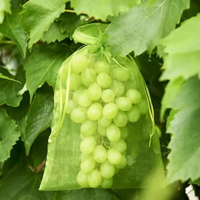 50/100Stk Trauben Schutz Taschen Obst GemÜSe Insekten Netz Beutel Aufbewahrungs