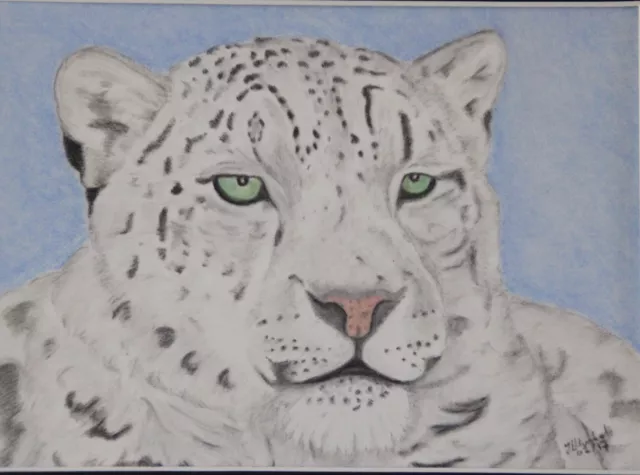 Snow Leopard Pastel Original Drawing mounted to 8x10 inches or Print variations 2