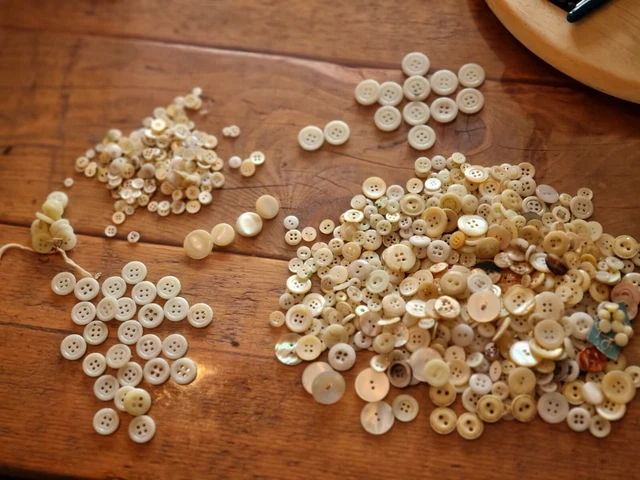Lot De Boutons En Nacre Mercerie Couture Collection