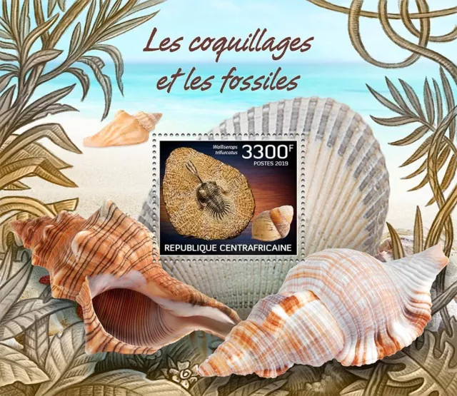 Shells and Fossils MNH Stamps 2019 Central African S/S