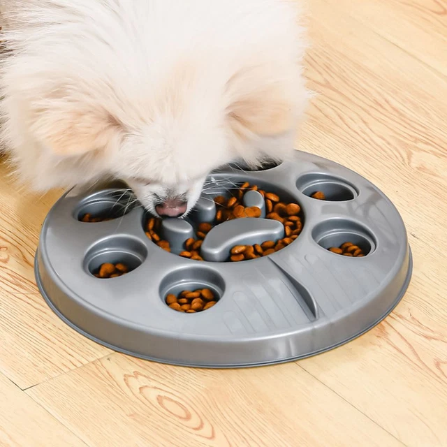 Mangeoire pour animaux de compagnie Nourriture lente Chien Puzzle Jouet