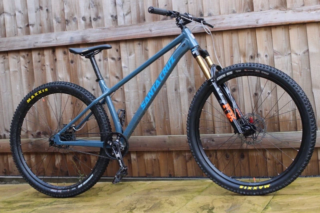 Santa cruz hotsell chameleon large