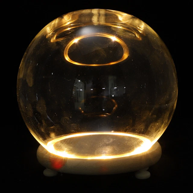 ETERNAL FLOWER COVER Small Display Case Decorations for Car £41.15