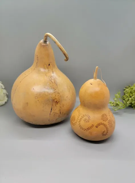 2 Dried Gourds with Etchings 5" & 8" Signed Home Decor